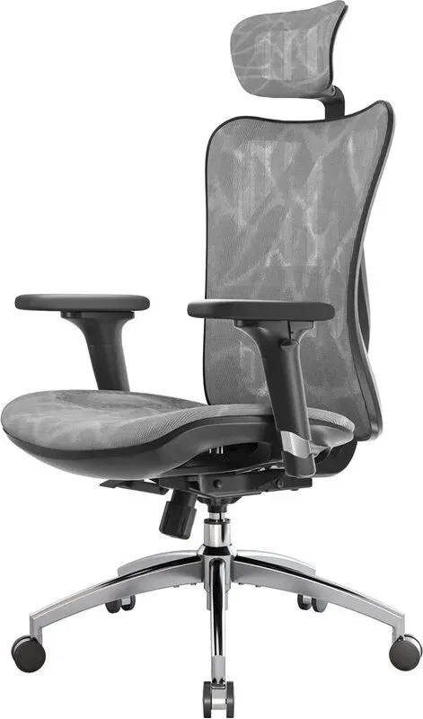 Sihoo M57S ergonomischer Bürostuhl aus Mesh mit verstellbarer Lendenstütze, 3D-Armlehnen und hoher, atmungsaktiver Rückenlehne (grau)