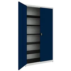 mauser Stahlschrank BF5/22-12STG 7035/5003 lichtgrau, saphirblau 120,0 x 50,0 x 220,0 cm, aufgebaut