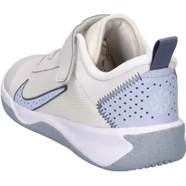 Nike Omni Multi-Court Kinder PLATINUM TINT/WHITE 35