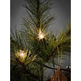 Konstsmide 1057-000 Weihnachtsbaum-Beleuchtung Außen netzbetrieben 20 Glühlampe Klar Beleuchtete L