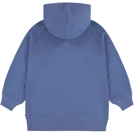 Levi's Hoodie Coastal Fjord 152