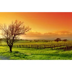 Fototapete PAPERMOON "Landschaft", bunt, B:4,00m L:2,60m, Vlies, Tapeten