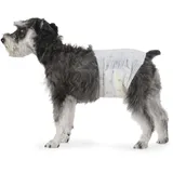 Amazon Basics Hundewindel für Rüden, Einwegwindeln, Größe M, Weiß, 30 Stück