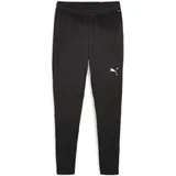 Puma teamFINAL Trainingshose Herren 03 black/silver XXL