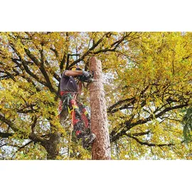Metabo MS 18 LTX BL / 25 cm