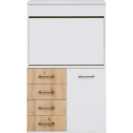 Priess Sekretär "Lissabon", braun (lichtweiß, astkernbuche), B:82cm H:139cm T:38cm, Sekretäre, Sekretär