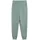 Puma Jungen ESS 2 Color No. 1 Logo Sweatpants FL B Green Moon,