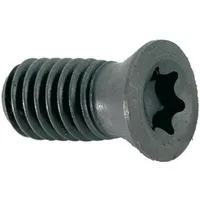FORMAT Spannschraube M2,5x5 T08