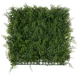 Karat Pflanzenwand Fern Kunstpflanzen zur Wandmontage 50 x 50 cm