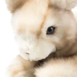 Steiff Schnucki Hase 24 cm