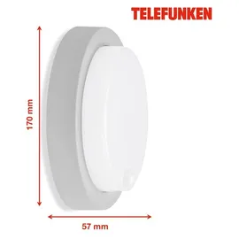Telefunken LED Außenwandleuchte Dortmund 17 cm silber