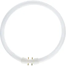 Philips Master TL5 Circular 22W/830 2GX13