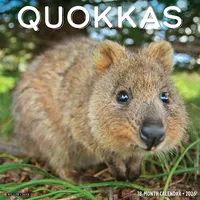 Willow Creek Press Quokkas 2026 Wall Calendar