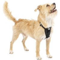 Kurgo Tru-Fit Hundegeschirr, Crash-Test-erprobtes Auto-Sicherheitsgurt, Für Hunde von 2 bis 5 kg, Größe XS, Schwarz