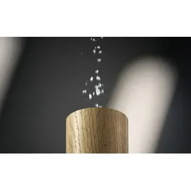 WMF Nature Pro Gewürzmühle 21,6 cm Braun unbefüllt