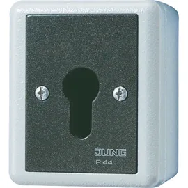 Jung Schlüsselschalter 806.28 G