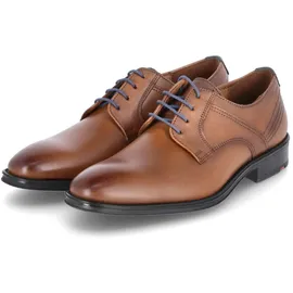 LLOYD Gala | Braun - 46,5