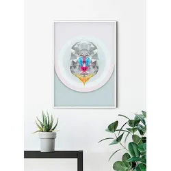Bild KOMAR "Baboon", bunt (farbe bild(er): bunt), B:30cm H:40cm, Papier, Holz, Bilder, Wandbild zur Dekoration - ohne Rahmen