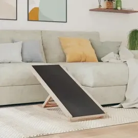 vidaXL Hunderampe Grau 100x40 cm