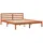 vidaXL Massivholzbett 160 x 200 cm Wachsbraun