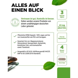 Vit4ever Grünlippmuschel Kapseln 365 St.