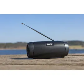 Imperial DABMAN GO schwarz