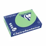 Clairefontaine Trophée A4 160 g/m2 250 Blatt vert nature