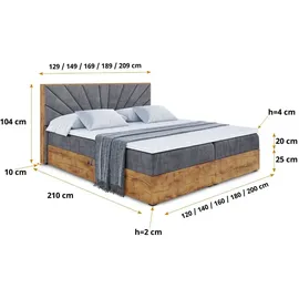 altdecor BOXBETT mit Matratze H4 und Lattenrost - LOLLI6 - 160x200 - Dunkelgrau