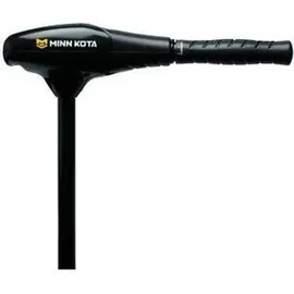 Minn Kota Endura C2