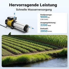 Wiltec Kreiselpumpe 9000L/H 2200W