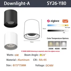 6mm Intelligente Zigbee-Spotlights Weiß Typ A 6W