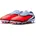 Royal Tint/Bright Crimson 43