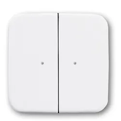 Busch-Jaeger 6732-214 Wandsender WaveLINE 2 Kanal