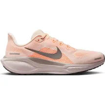Nike Pegasus 41 Damen Orange / Silber 40