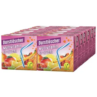 Säfte-Sirup Durstlöscher Multivitamin fruchtiges Fruchtsaftgetränk 500ml 12er Pack