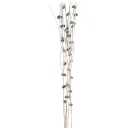Dekoast Trockenblume in Schwarz ca. 90cm