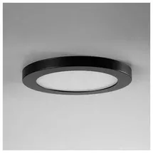 Brumberg Frontring 81020708