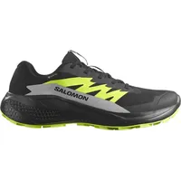 Salomon Herren Alphaglide GTX schwarz 43.3