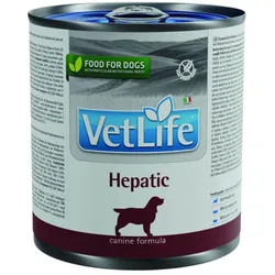 Nassfutter Hund Farmina VetLife - Hepatic Futter 300 g