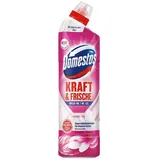 Domestos WC-Reiniger Gel Floral Fresh 750 ml