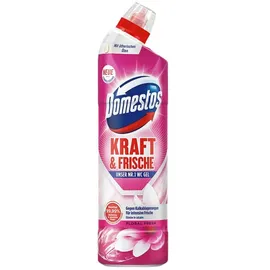 Domestos WC-Reiniger Gel Floral Fresh 750 ml