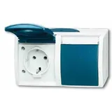 Busch-Jaeger Schuko-Steckdose 2-fach Grau/Blaugrün