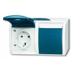 Busch-Jaeger Schuko-Steckdose 2-fach Grau/Blaugrün