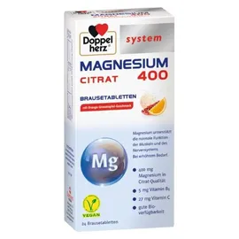 Queisser Doppelherz Magnesium 400 Citrat system