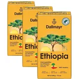 Dallmayr Ethiopia gemahlener Kaffee 500 g