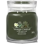 Yankee Candle Signature Silver Sage & Pine 368 g