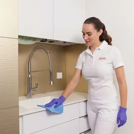 Vileda r-MicronQuick rot 5er Pack