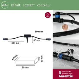 Paulmann Plug & Shine Zigbee Controller Erdspieß