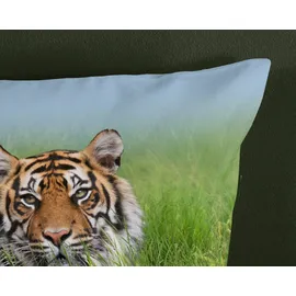 Muller Textil Silencet Tiger Mehrfarbig 155 x 220 cm + 2 x 80 x 80 cm
