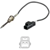 Delphi TS30151 Abgastemperatursensor 2-Polig Kompatibel mit VOLVO XC60 156 30713739 31293031 31370469